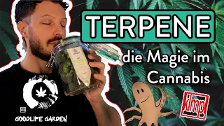 Terpene - die Magie im Cannabis | Was Terpene sind und wie du sie nutzen kannst