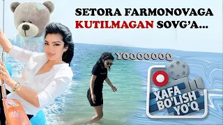 XAFA BO'LISH YO'Q 12-SON // Setora Farmonovaga jonli ayiq sovg'a qilindi...