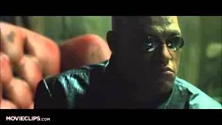 Blue Pill or Red Pill   The Matrix 2 9 Movie CLIP 1999 HD   1