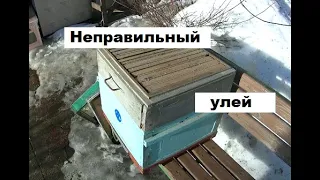 Почему я не использую магазины на своей пасеке ?