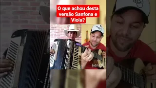 Amor distante Filhos de Goiás Sanfona e Viola