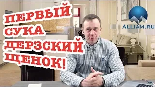 ЖЕСТЯК КОЛЛЕКТОР СОРВАЛСЯ С КАТУШЕК/НОВОЕ СЛОВО ОТ КАЛА | Как не платить кредит | Кузнецов | Аллиам