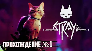 STRAY Прохождение на стриме  / Стрей первый взгляд / Бродячий Кот # 1