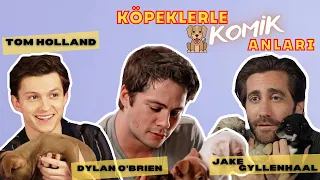 Dylan O'Brien, Tom Holland ve Jake Gyllenhaal Köpeklerle Komik Röportaj Türkçe Altyazılı /w puppies