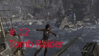 Tomb Raider серия 12