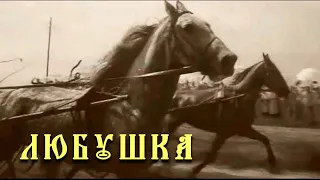 ЛЮБУШКА / Фильмы о лошадях