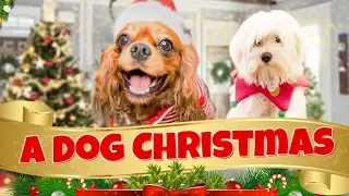A Talking Dog Christmas