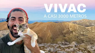 VIVAC con mi GATO a 2917 METROS | #3 VUELTA al MUNDO en AMBULANCIA