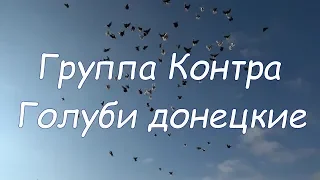 Контра - Голуби донецкие