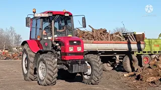 FÁZÁS MTZ.3 A  HAVAZÁS ELŐTTI NAPON. /MTZ Agro Vlog/.2022.