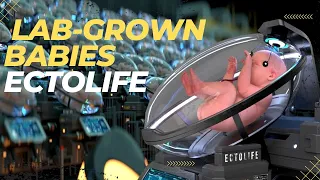 Ectolife 30,000 Lab-Grown Babies a Year | The World's First Artificial Womb Facility