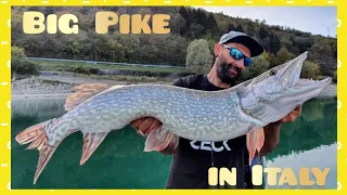 Pike fishing on the lake Santa Croce in Italy by Yuri Grisendi