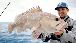 Fishing for DEEP Ocean Snowy Grouper