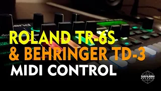 Roland TR-6S & Behringer TD-3  Midi Control