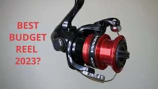 Best budget fishing reel? Shimano Sienna spinning reel review