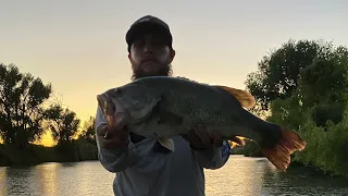 California delta bass fishing (insane top water bite)