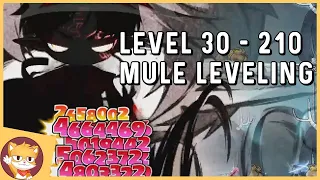 Training Link Skill Mules From Level 30 To 210 | MapleStory Reboot Server Guide