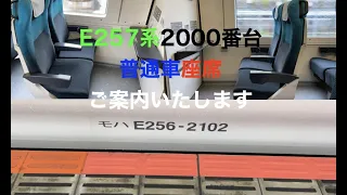 特急踊り子号E257系2000番台普通車の座席にご案内いたします