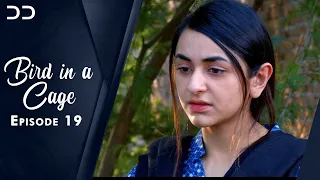 Bird in Cage | Episode 19 | English Dubbed | Pakistani Dramas | CZ1O