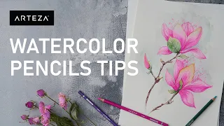 Watercolor Pencils Tutorial For Beginners (TOP 7 TECHNIQUES)