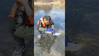 Amazing Rural Fishing Awesome techniques - Ice Fishing 🐟 #Shorts