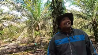 Nemenin mas Mugi asal Purbalingga cek lahan yang mau dijual