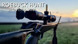 Roebuck Hunt / Rehbock Jagd / Caccia al Capriolo / Chasse au Brocard / Bukkejakt / Slovenia 2021
