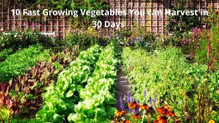 10 Gulay Na Puedeng Maani  Ng Isang Buwan | 10 Fast Growing Vegetables You Can Harvest in 30 Days