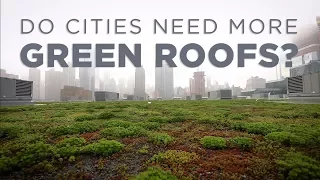 How Green Roofs Can Help Cities | NPR