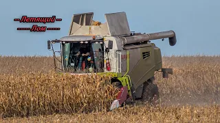 Обмолот кукурузы с Claas Tucano 570! Октябрь 2021!