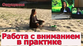 Как работать с вниманием в практике?