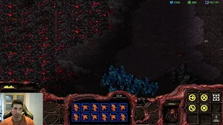 OG Starcraft