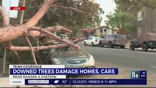 Downed tree destroys car in Las Vegas