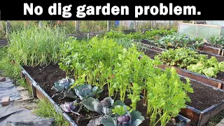 No Dig Garden problem and solution using green waste compost.