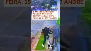 Cachorro se joga em homem, protege tutor e evita assalto em Santo André (SP)