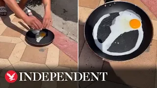 Heatwave: Scorching temperatures cook egg instantly under the sun