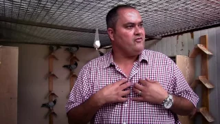 This South African guy bought a pigeon for R5 million