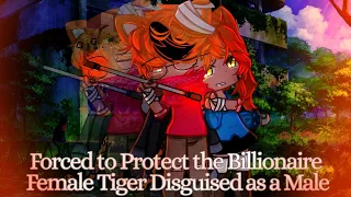 Forced to Protect the Billionaire Female Tiger disguised as a male// Lesbian/bi //Old Requested Gcmm