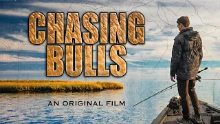 CHASING BULLS in the LOUISIANA Marsh - An Original Film