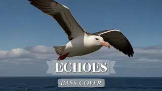 Pink Floyd - Echoes | Bass Cover