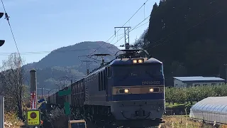 JR貨物EF510形502号機+コキ20B貨物列車3099レ　福岡タ→札幌タ　撮影日:2022/11/12