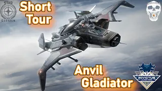 Quick Tour of the Anvil Gladiator - Star Citizen Gameplay Alpha 3.13