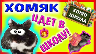 Хомяк идет в ШКОЛУ / BACK TO SCHOOL / Бек ту скул / ХОМЯК на 1 сентября / Alisa Easy Pets