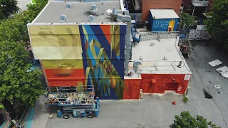 Ancestors: The Humankind Odyssey reimagined for a mural - MURAL Festival 2019