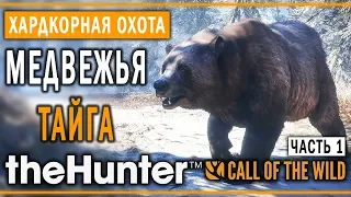 theHunter Call of the Wild #7 🐻 - Медвежья Тайга (часть 1) - Максимальная Симуляция Охоты