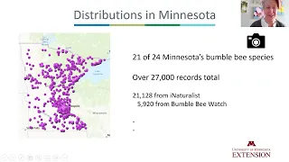 Bumble Bee Atlas