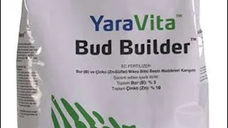 Yaravita bud builder spray result on wheat@yaraindia