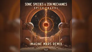 Sonic Species & Zen Mechanics - Spice Travel (Imagine Mars Remix) - Official