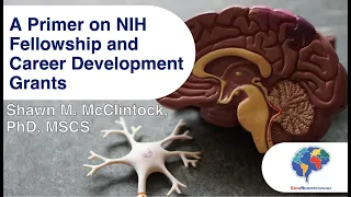 A Primer on NIH Fellowship and Career Development Grants
