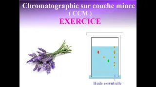 CHROMATOGRAPHIE sur couche mince (CCM)  -  COMMENT INTERPRETER un CHROMATOGRAMME - Exercice corrigé